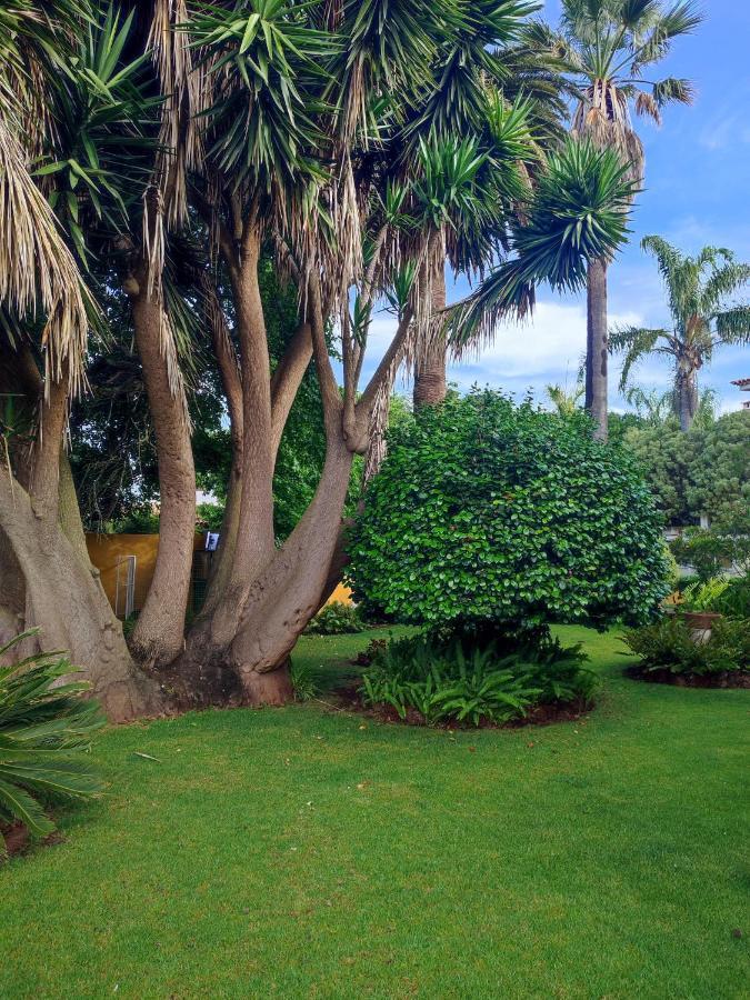 La Chimenea Verde Tacoronte Eksteriør bilde