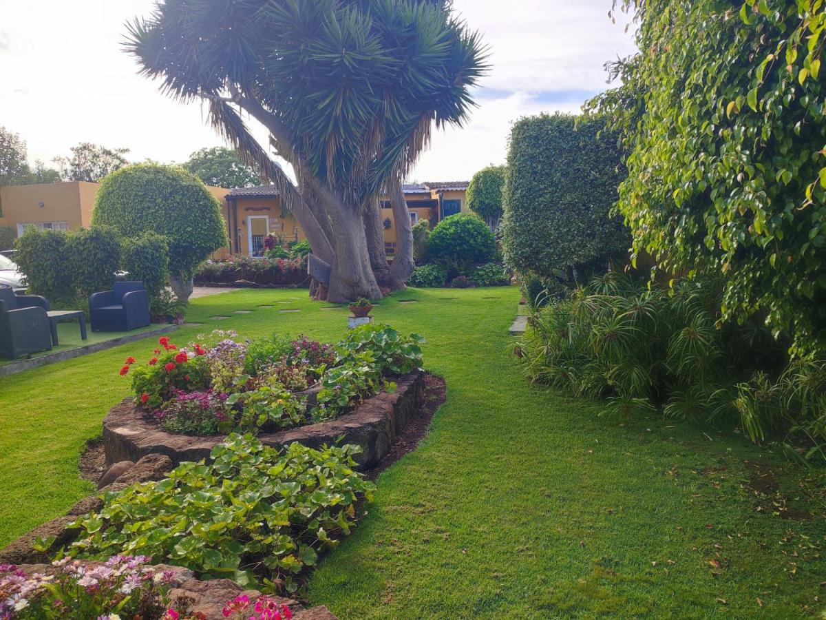 La Chimenea Verde Tacoronte Eksteriør bilde